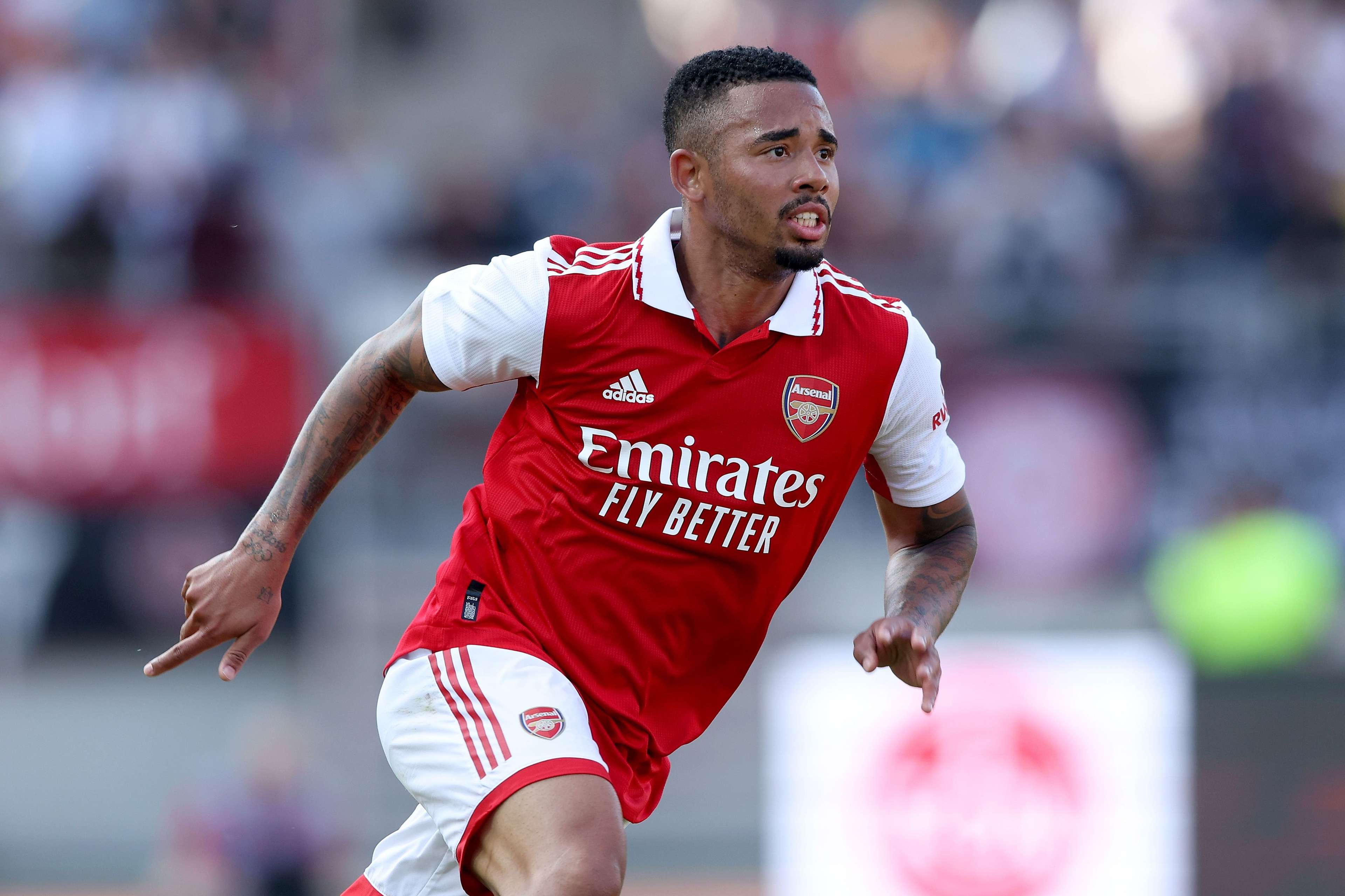 哈维的执教 哈维的执教